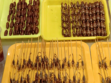 beijing-marche-nuit-brochettes-vers-a-soie-scorpions