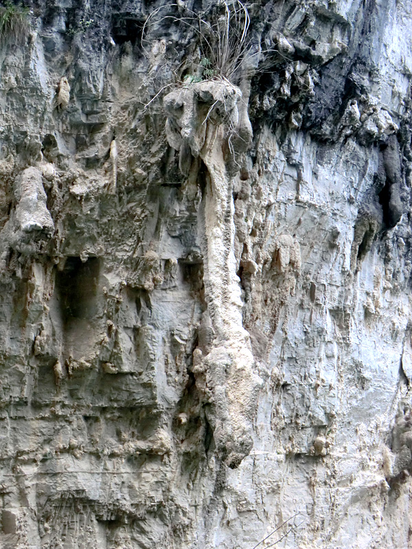 Stalagtite