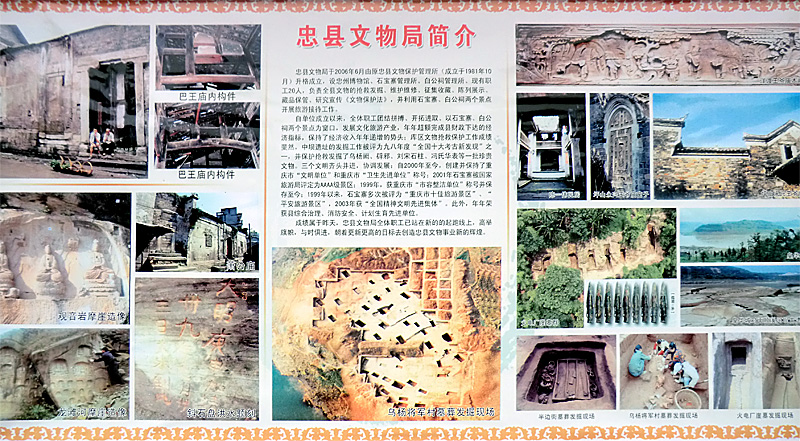 Photos