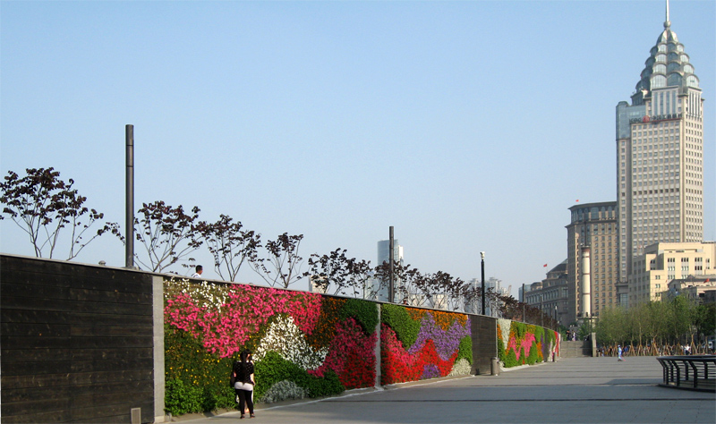 Mur de fleurs sur le Bund