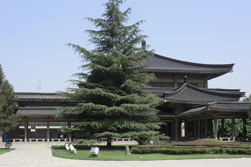 Musée provincial Shaanxi cour intérieure
