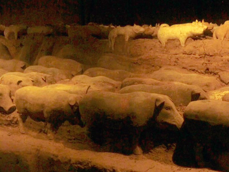 xian-musee-tombeau-empereur-yangling-animaux